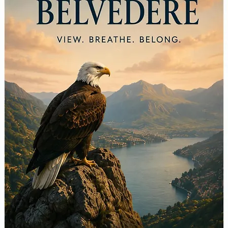 Eagle Belvedere From Birds Porto By Wonderexperience * Rio Tinto