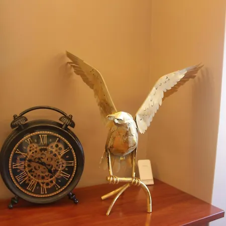 Eagle Belvedere From Birds Porto By Wonderexperience * Rio Tinto